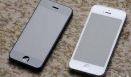 味道5手机在线观看,深度解析味道5手机在线观看体验